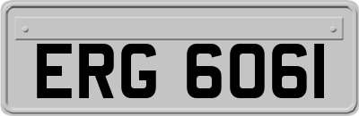 ERG6061
