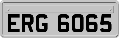 ERG6065