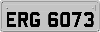 ERG6073
