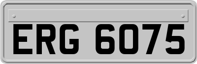 ERG6075