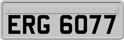 ERG6077