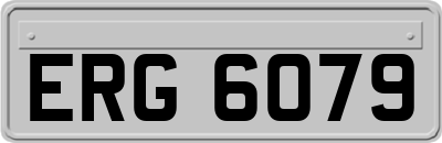 ERG6079