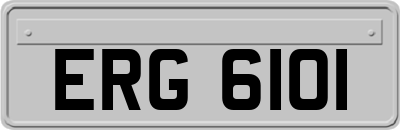 ERG6101