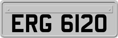 ERG6120