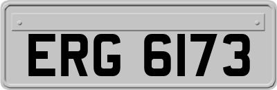 ERG6173