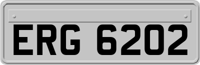 ERG6202