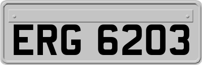 ERG6203