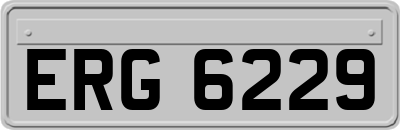 ERG6229