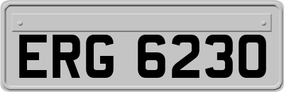 ERG6230