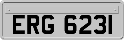 ERG6231