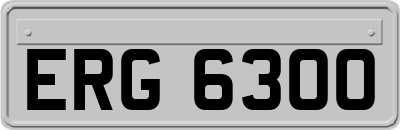 ERG6300