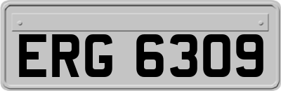 ERG6309