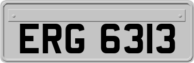 ERG6313