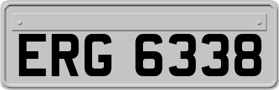 ERG6338