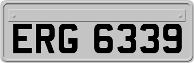 ERG6339
