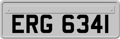ERG6341
