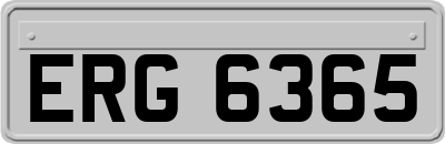ERG6365