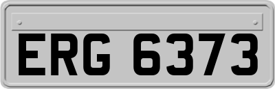 ERG6373