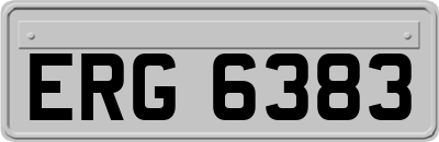 ERG6383