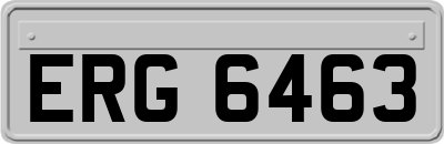 ERG6463