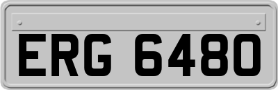 ERG6480