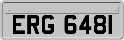 ERG6481