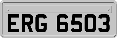 ERG6503
