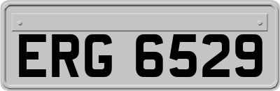 ERG6529