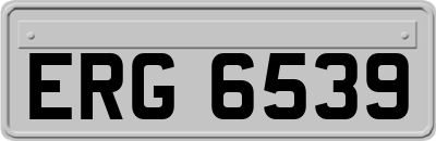 ERG6539