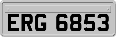 ERG6853