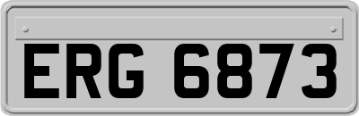 ERG6873