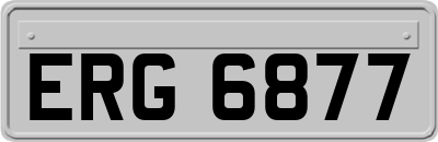ERG6877