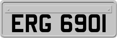 ERG6901