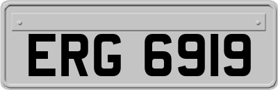 ERG6919
