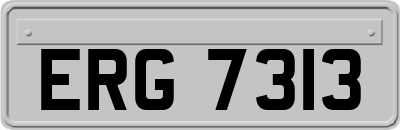 ERG7313
