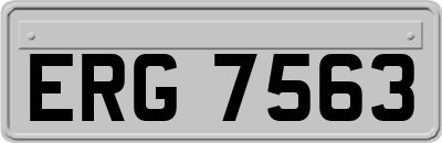 ERG7563