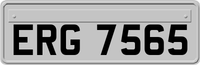 ERG7565