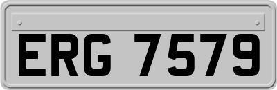 ERG7579