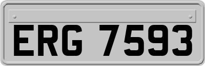 ERG7593