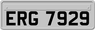 ERG7929