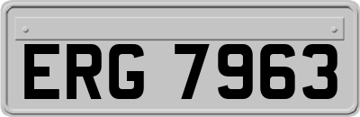 ERG7963