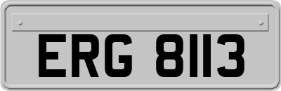 ERG8113