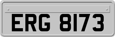 ERG8173