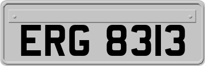 ERG8313