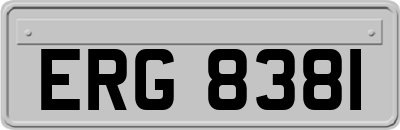 ERG8381