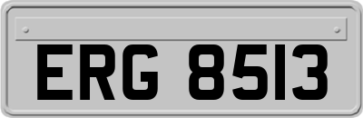 ERG8513