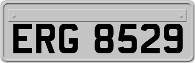 ERG8529
