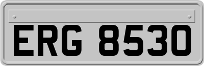 ERG8530