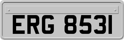ERG8531