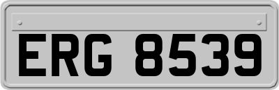 ERG8539